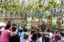 Petites Histoires de la Foret 3 * 5184 x 3456 * (10.9MB)